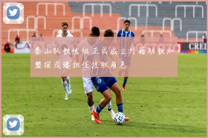 泰山队教练组正式成立外籍助教加盟宿茂臻担任挂职角色