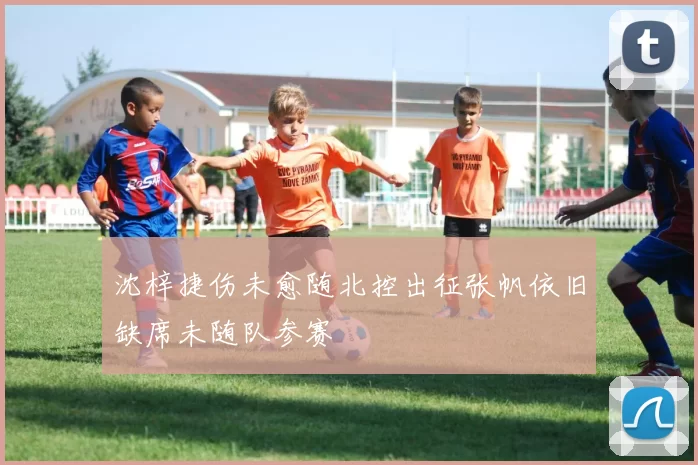 沈梓捷伤未愈随北控出征张帆依旧缺席未随队参赛
