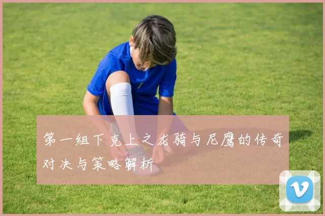 第一组下克上之龙骑与尼鹰的传奇对决与策略解析
